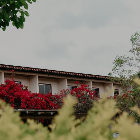 Pousada Primavera Hotel Mucugê Eksteriør billede