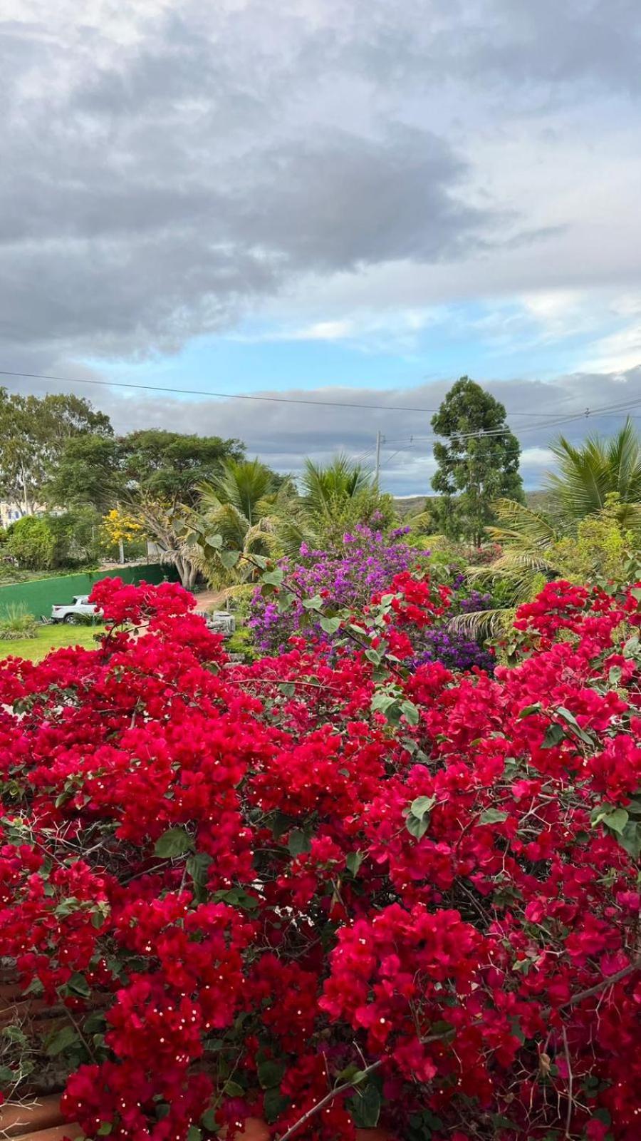 Pousada Primavera Hotel Mucugê Eksteriør billede